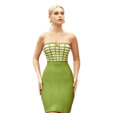 Celebrity Dress | Classic Club Dress | Bodycon Party Dresses